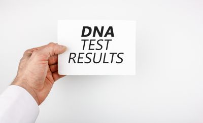 Genealogy Reports